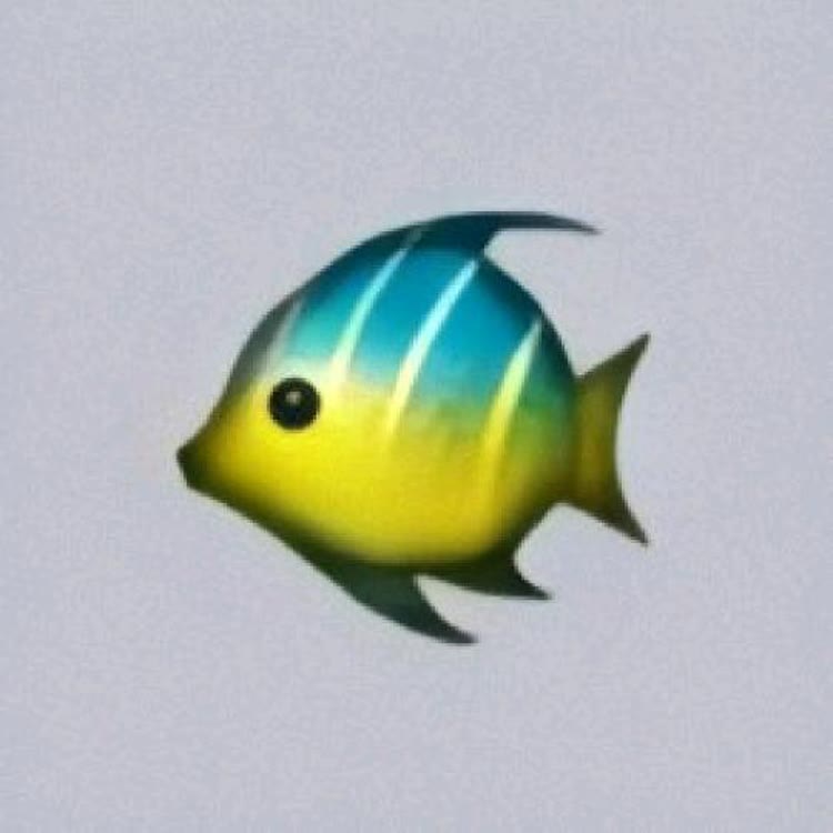 FISH