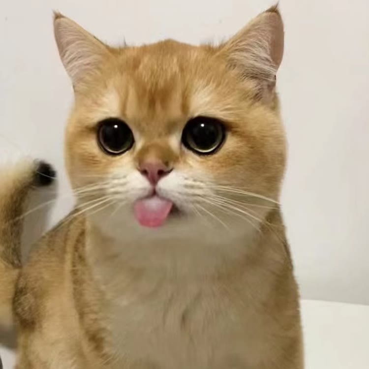 一只小黄鸭
