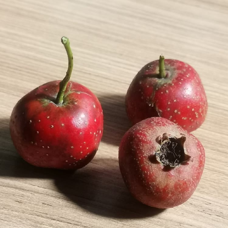 有亿思