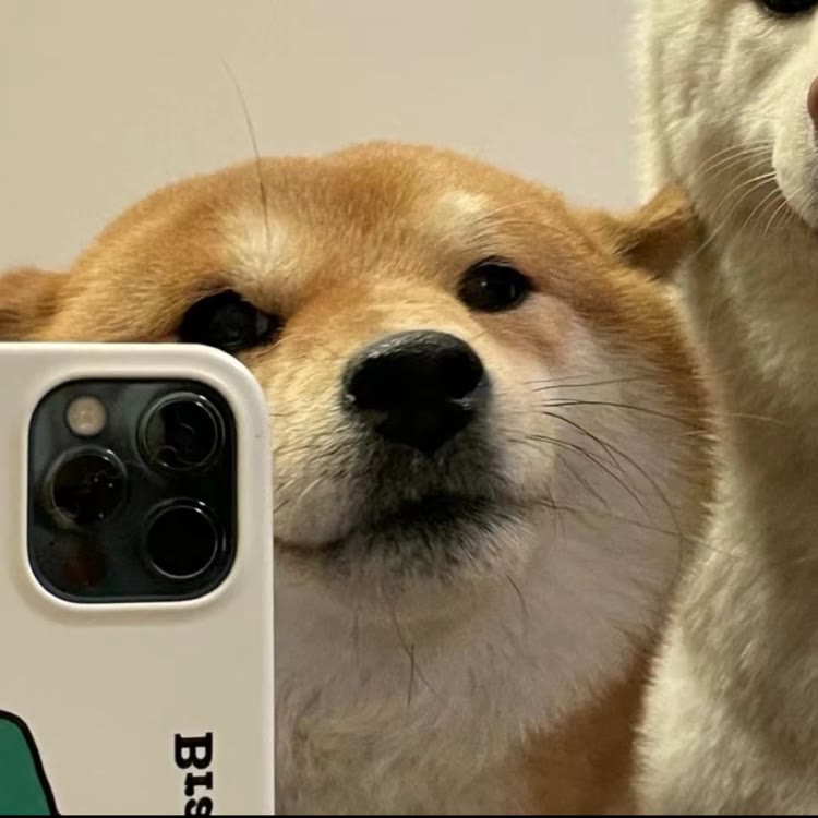 贺倩倩