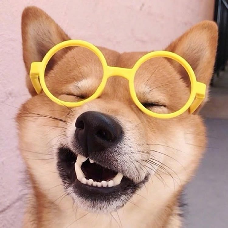 呵呵哒