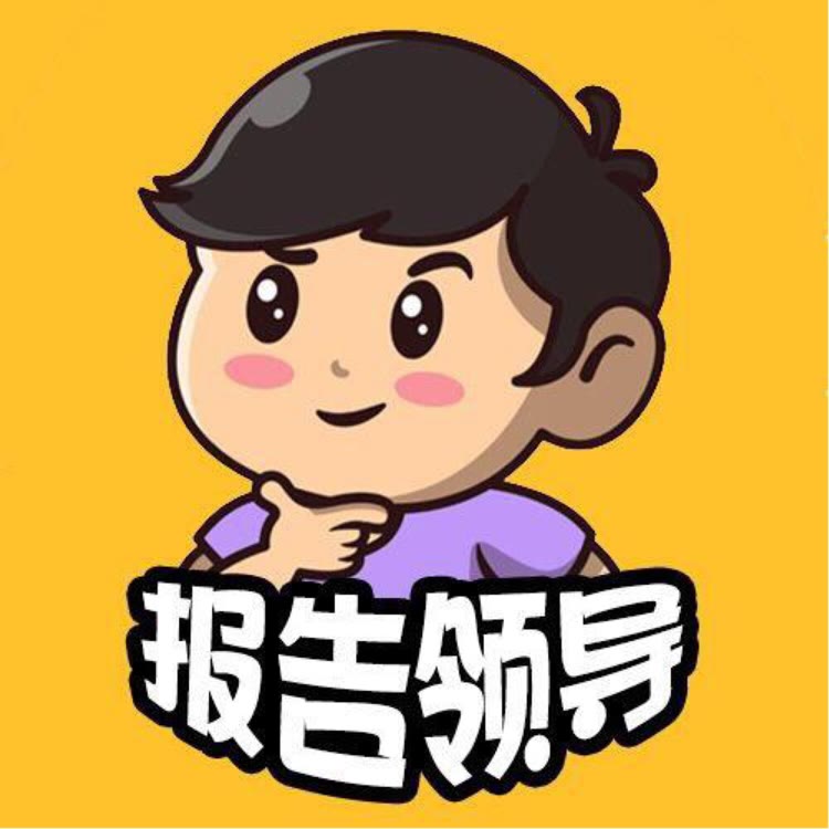 报告领导666