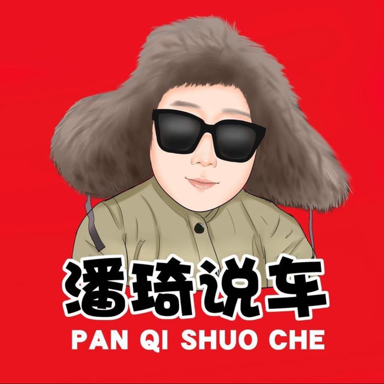 沈阳潘琦严选车