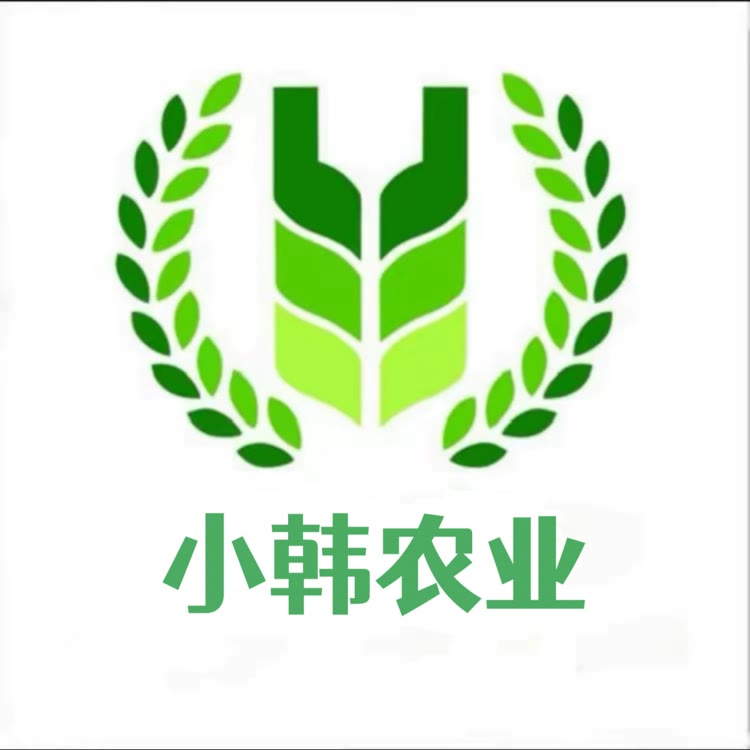 小韩