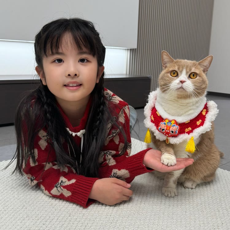 奶球是只喵