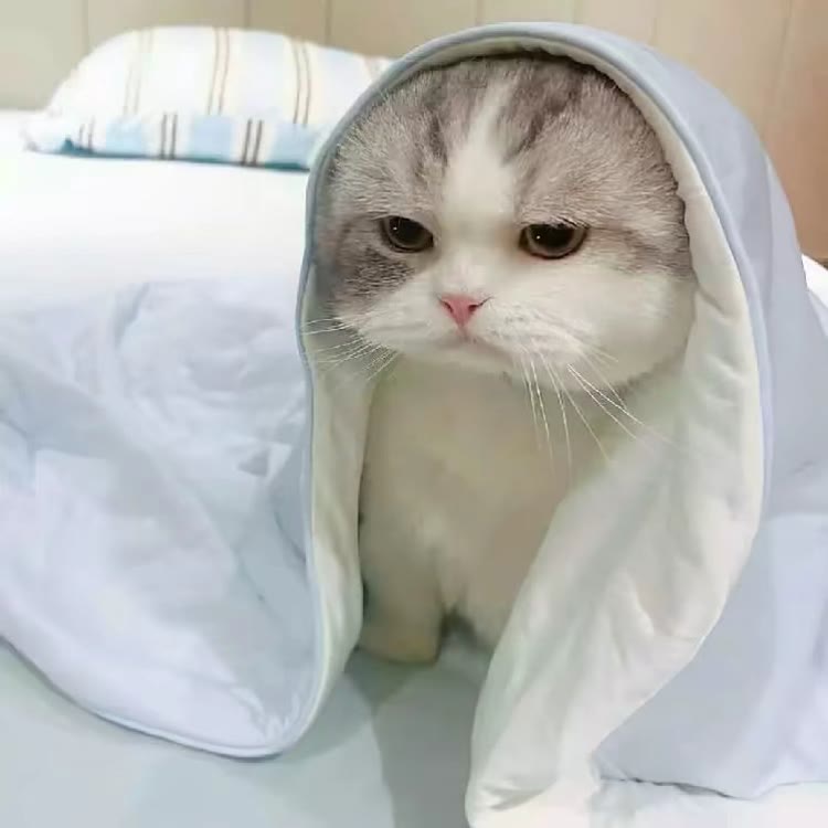 ^羽灵^.