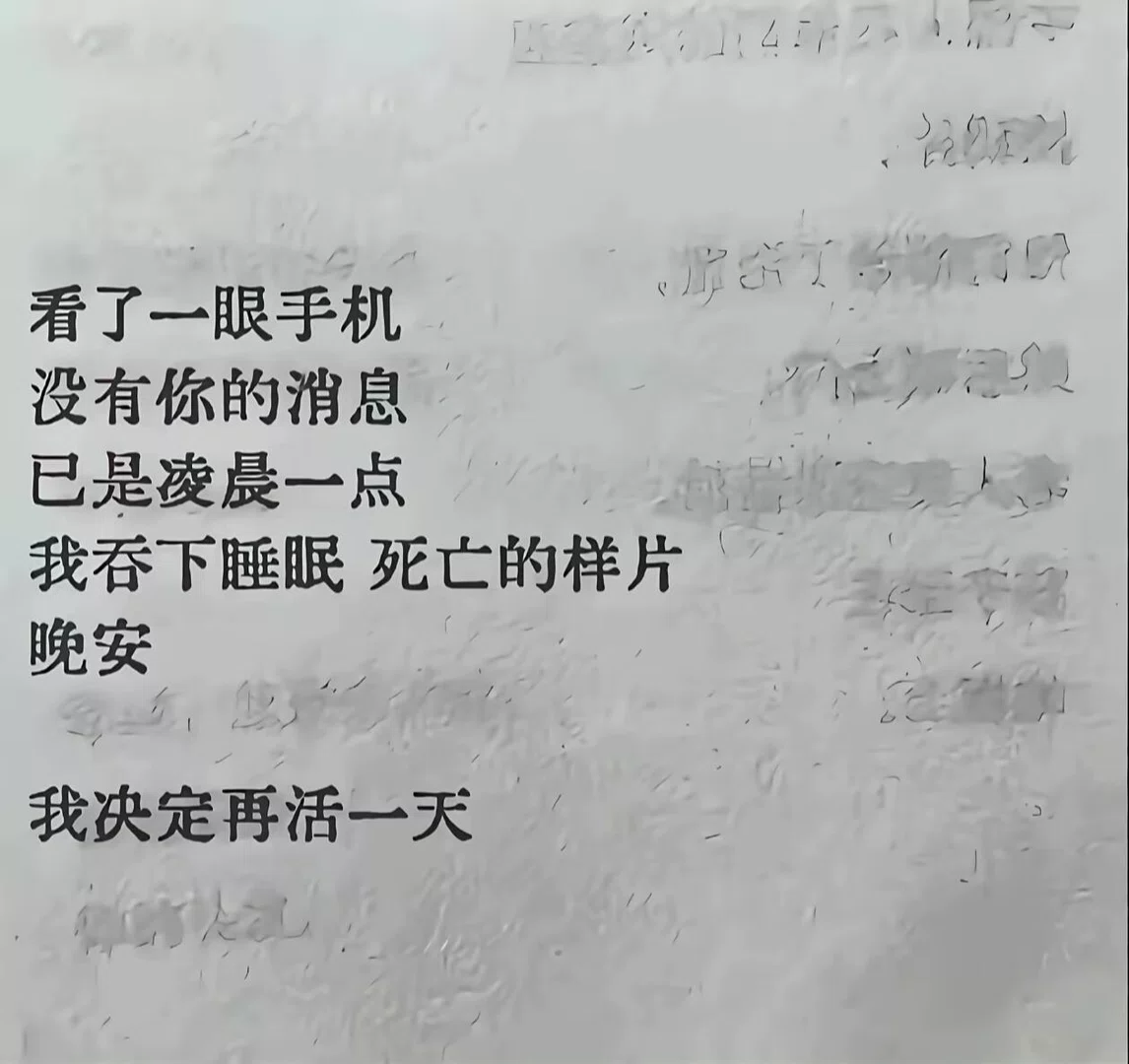 图片8