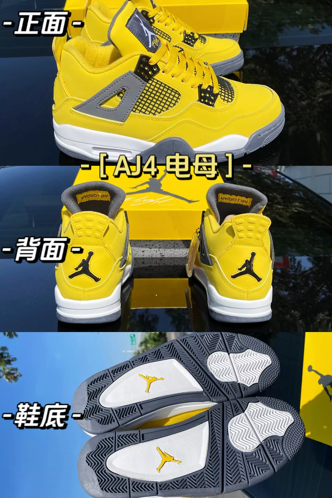 图片12