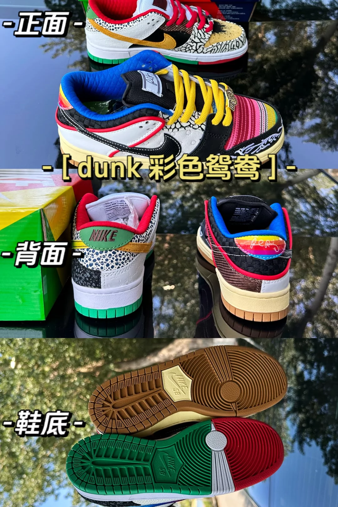 图片13