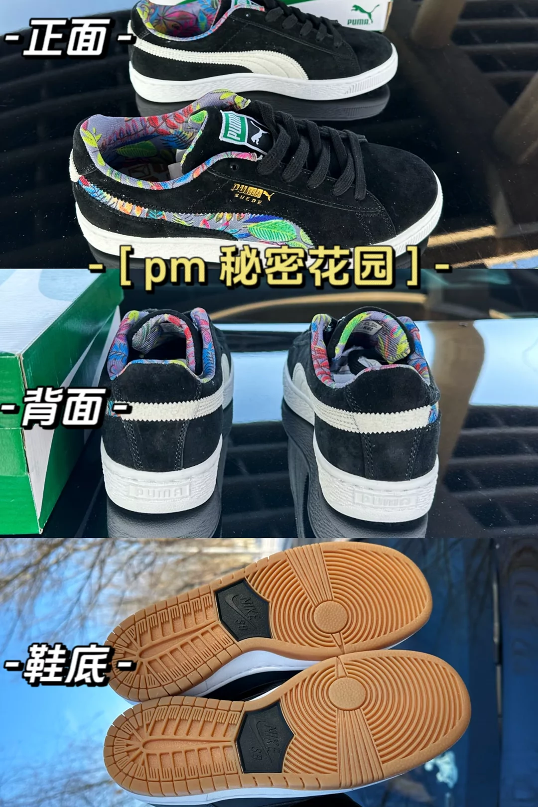 图片3