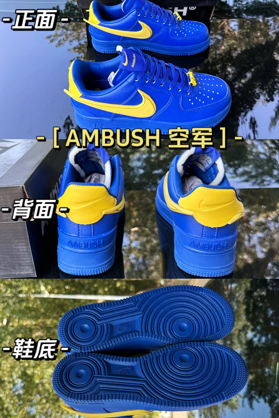 图片31