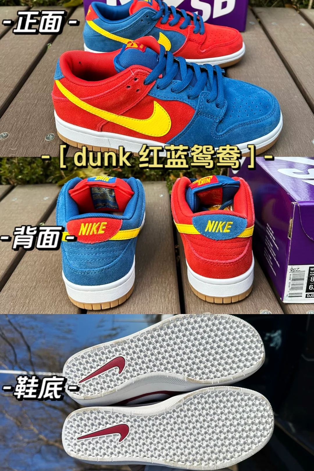 图片5
