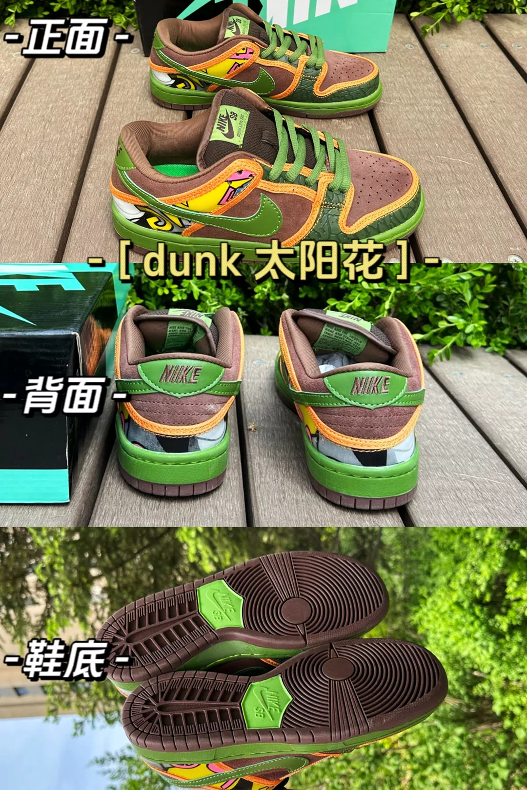 图片10