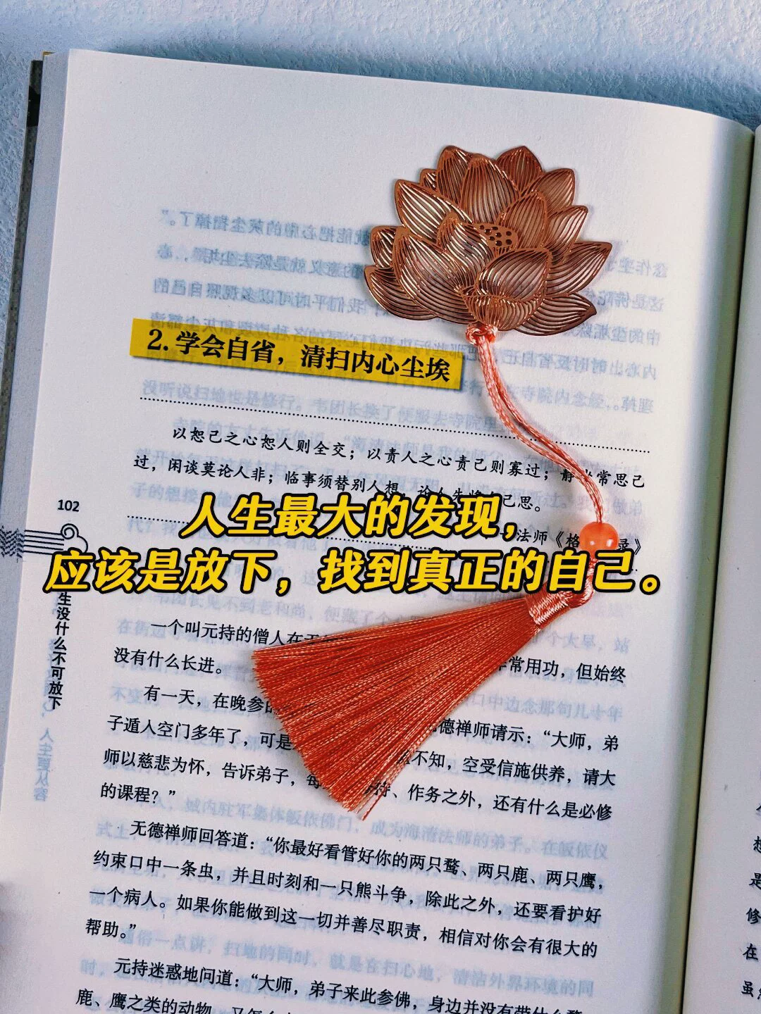 图片24