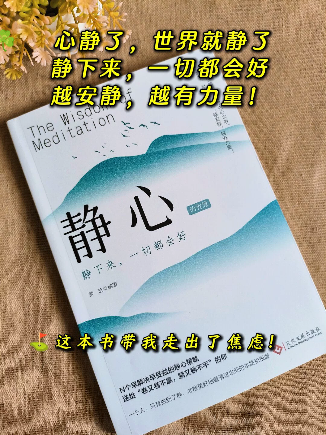 图片25