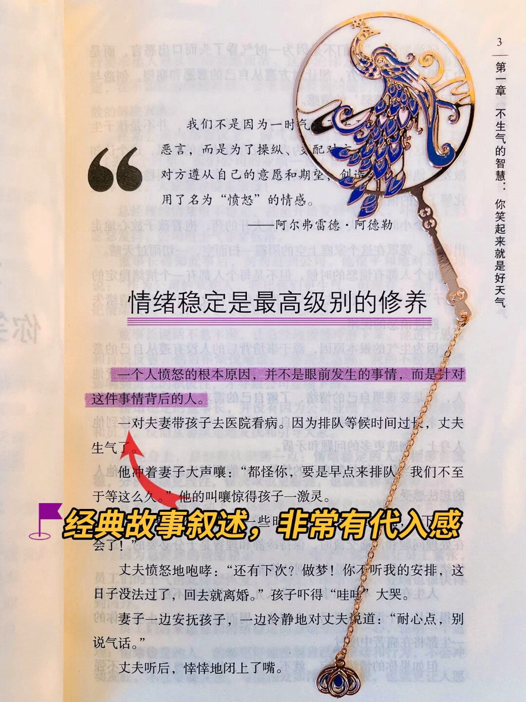 图片26