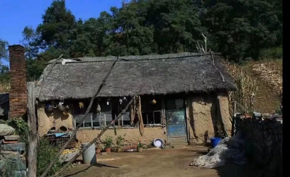 图片6