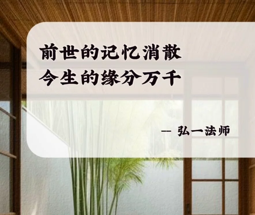 图片14