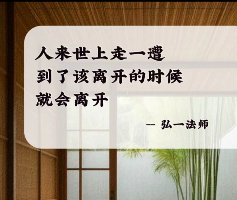 图片7