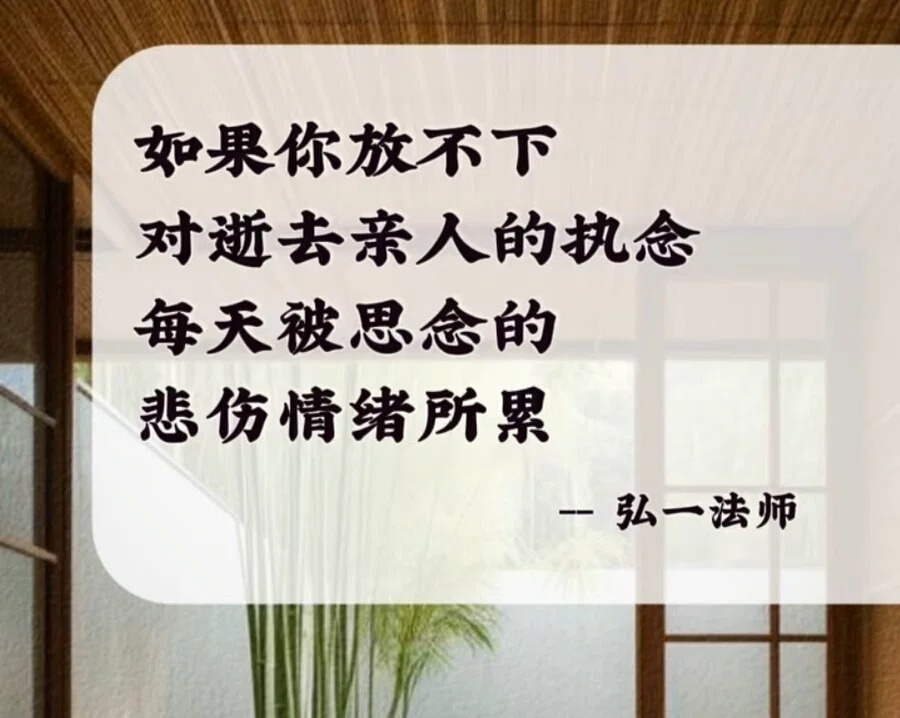图片8