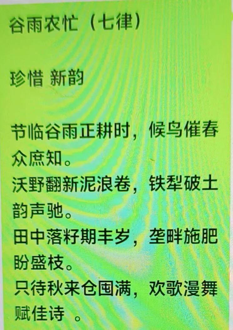 图片13