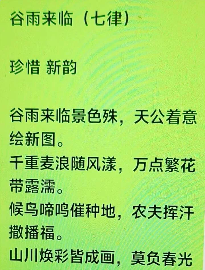 图片14