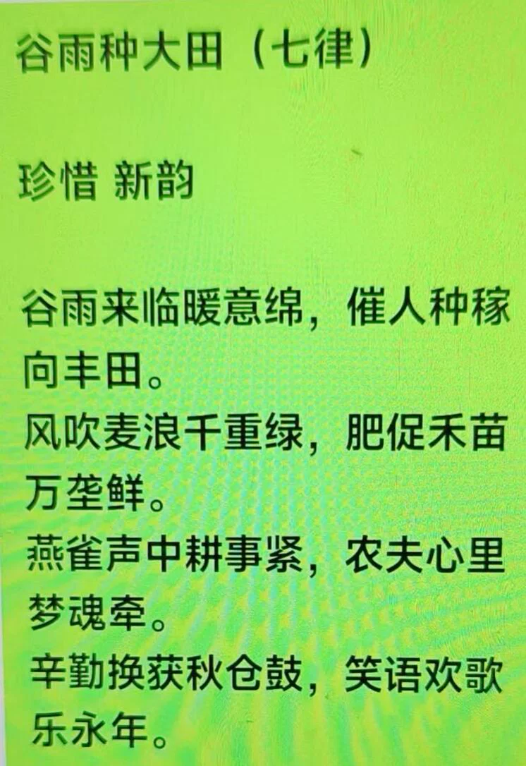 图片8