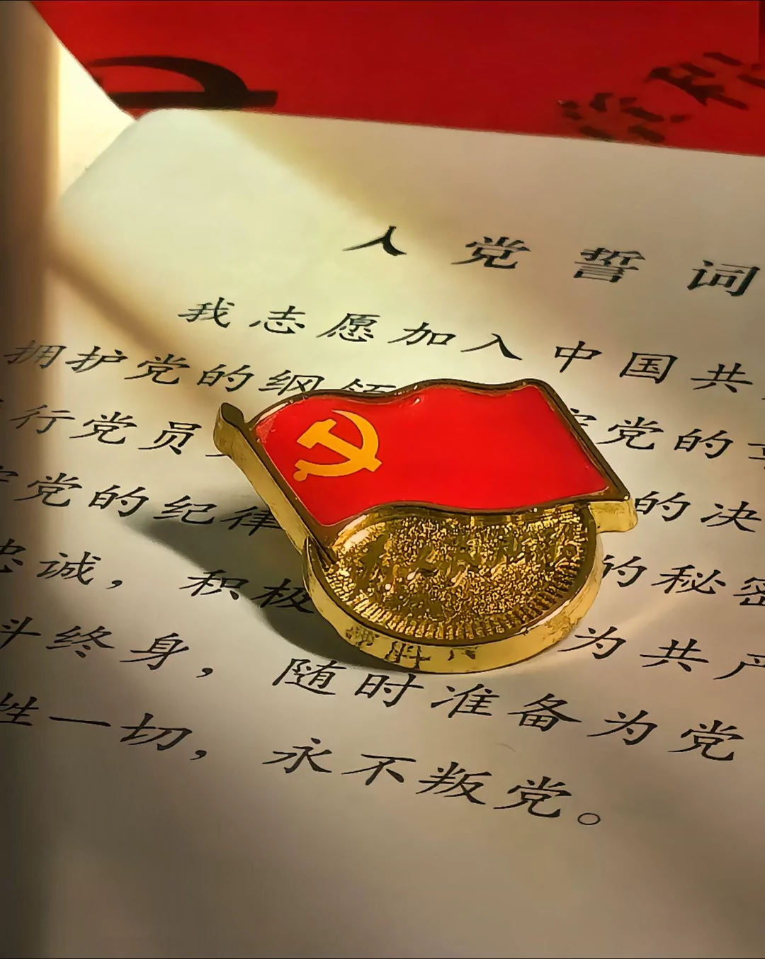 图片4