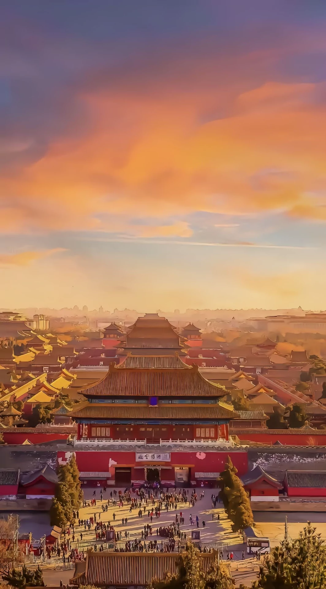 图片6