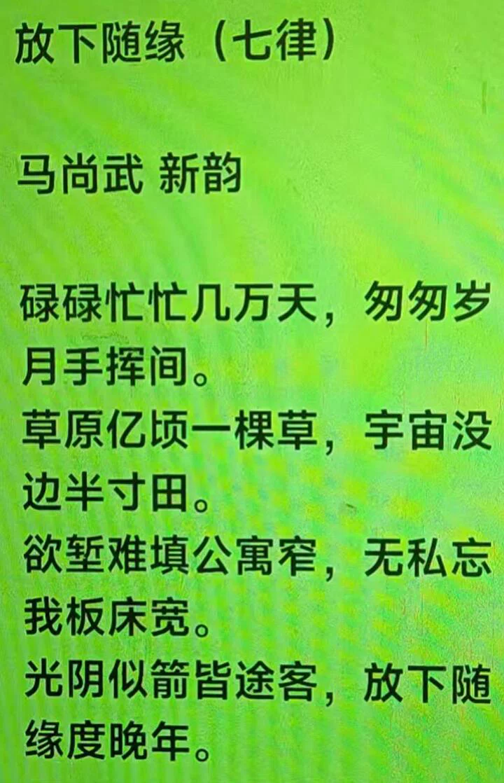 图片15