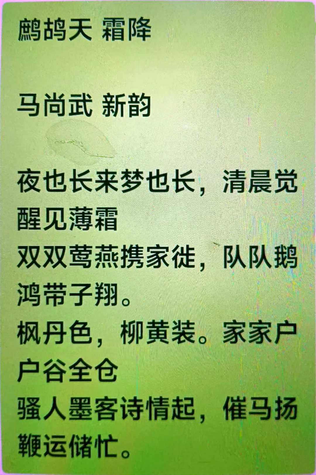 图片25