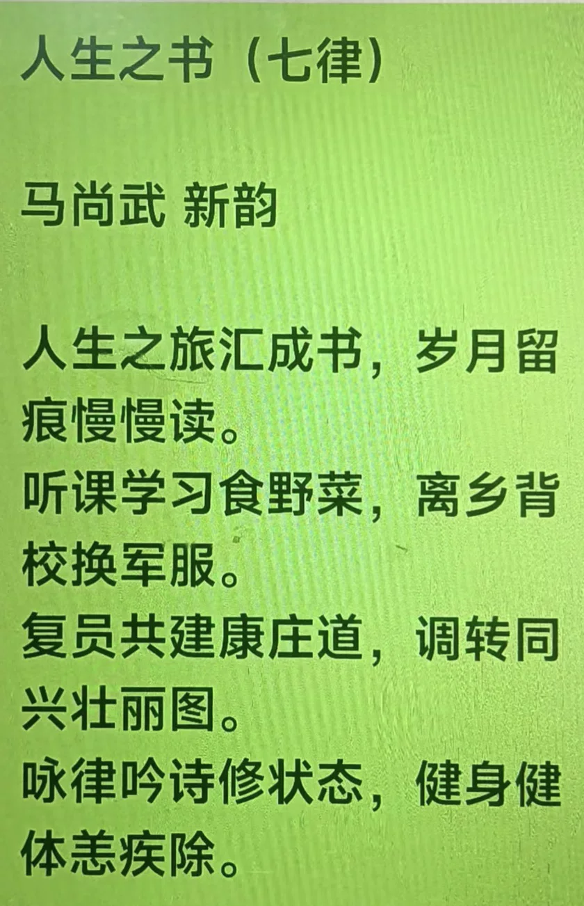 图片7