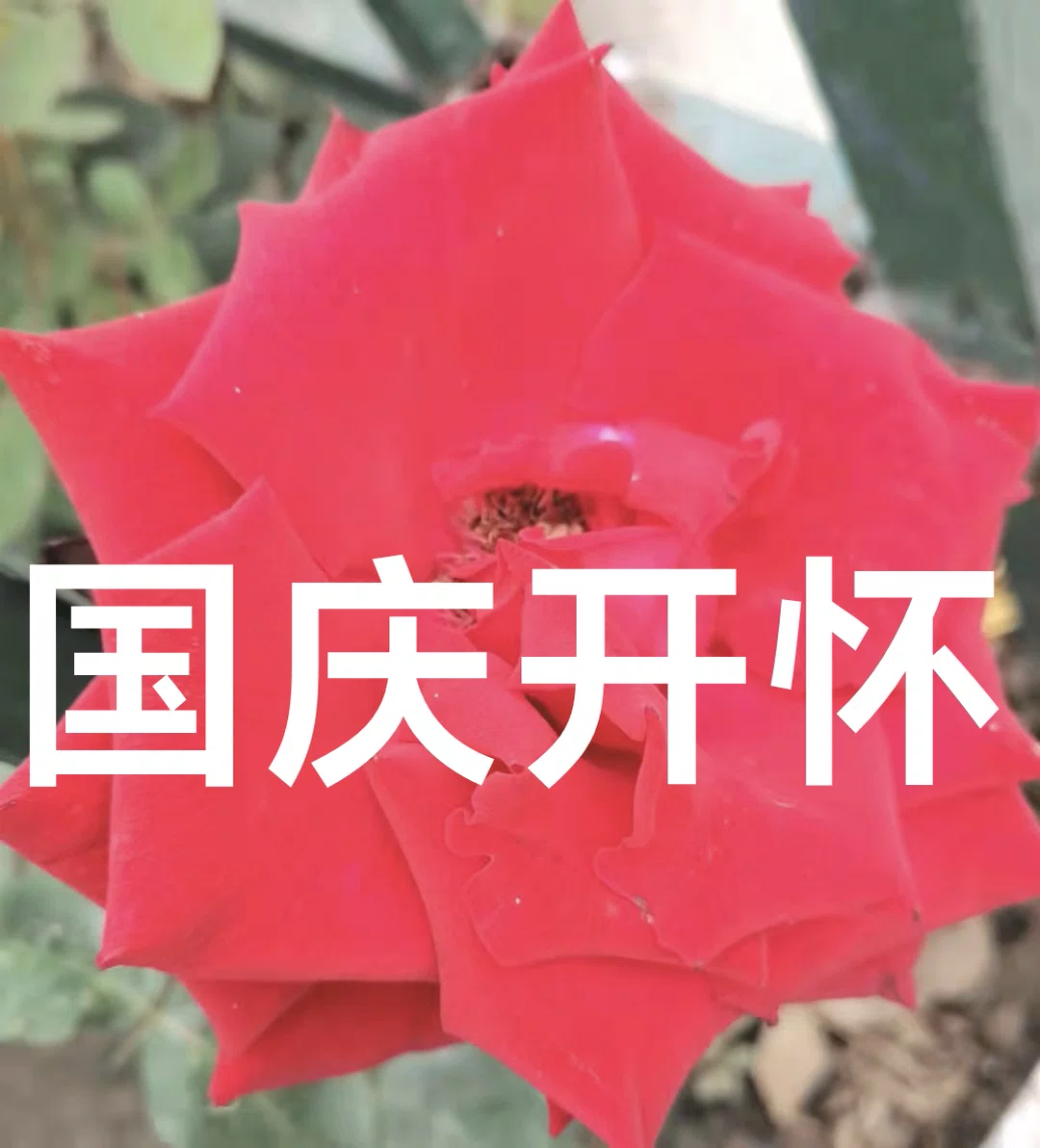 图片9