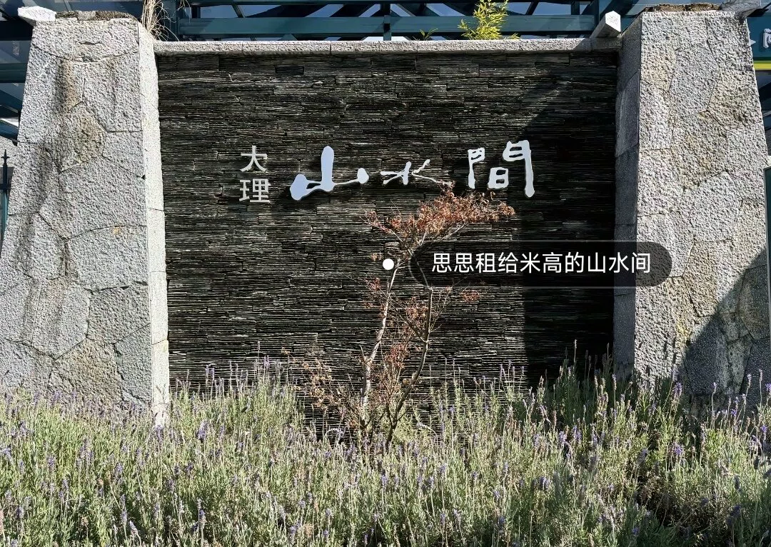 图片11