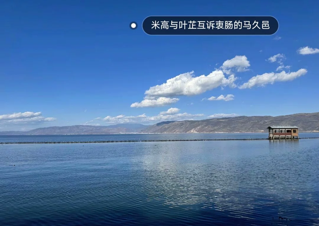 图片13