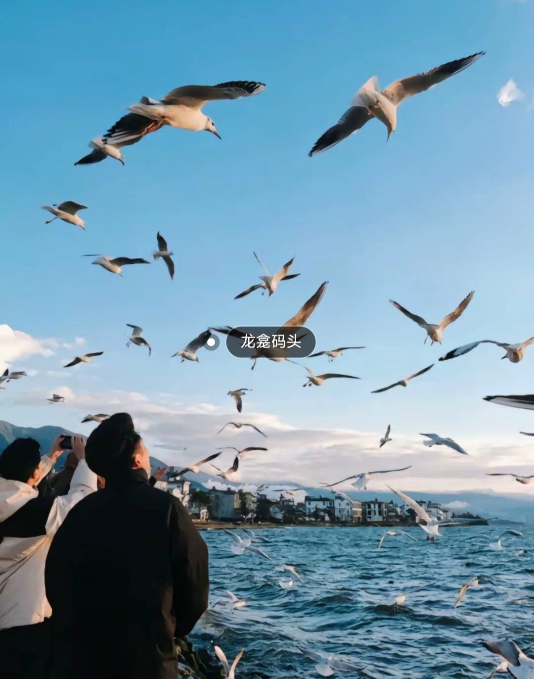 图片14