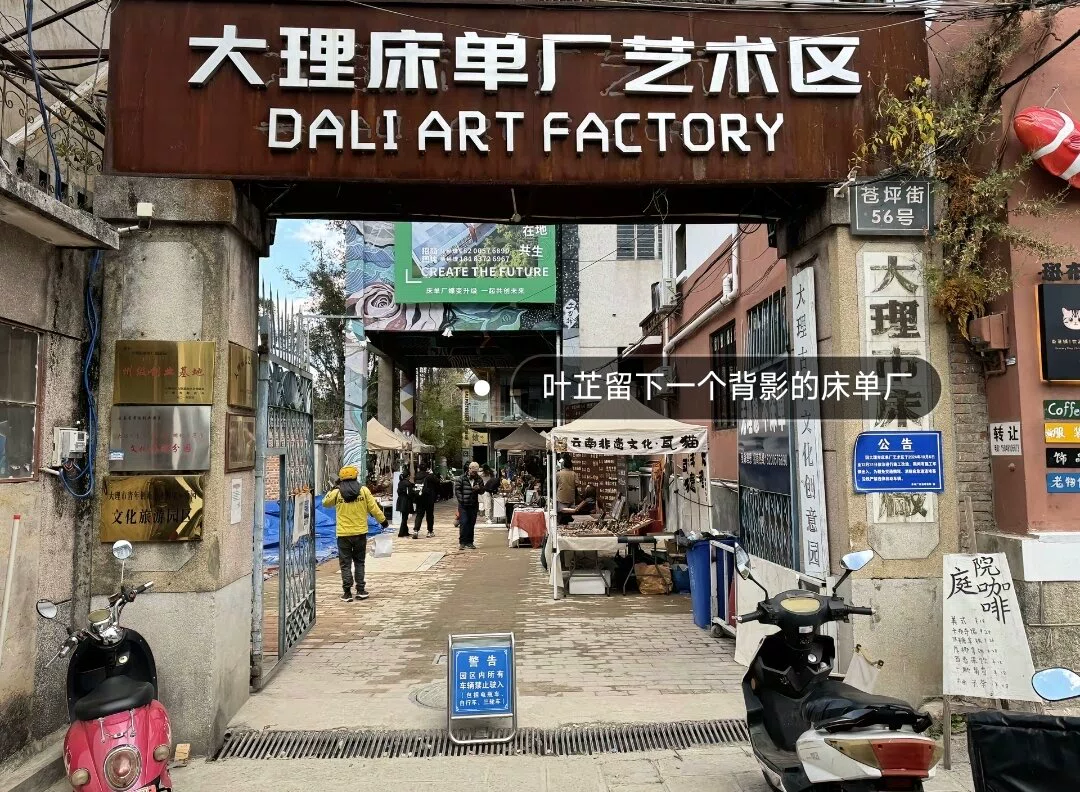 图片6