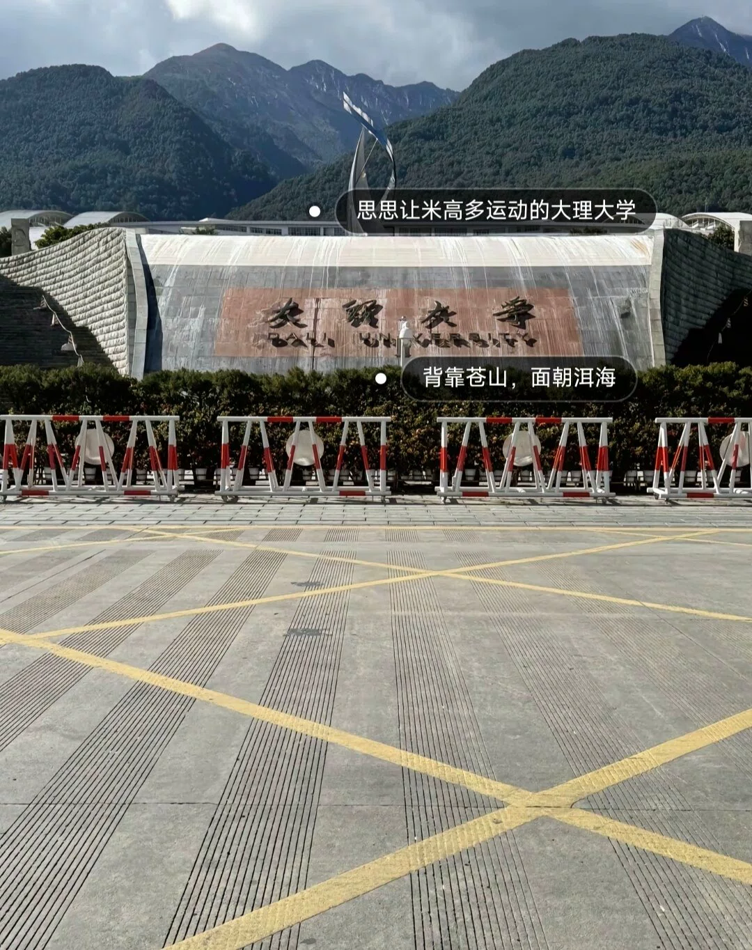 图片10