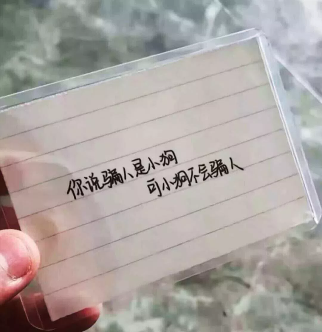 图片12