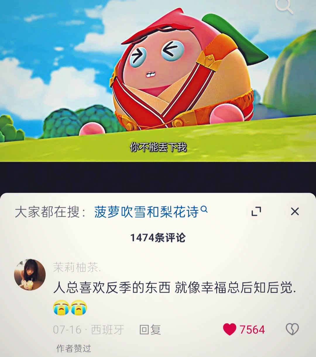 图片13