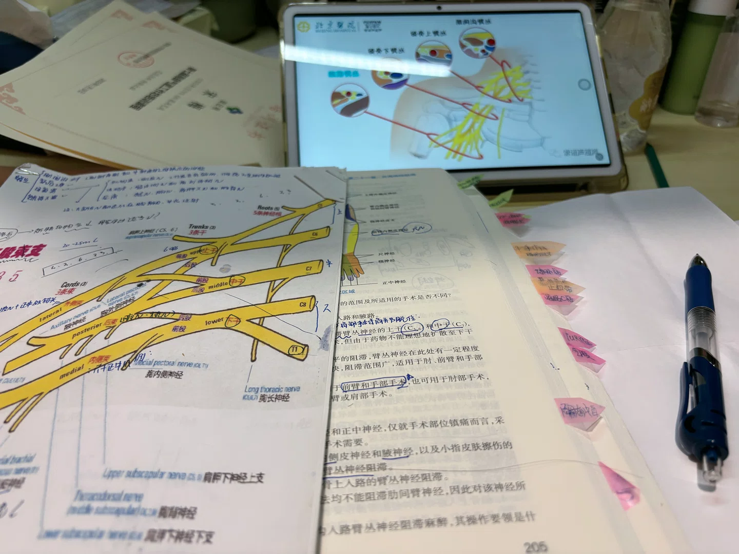 图片2