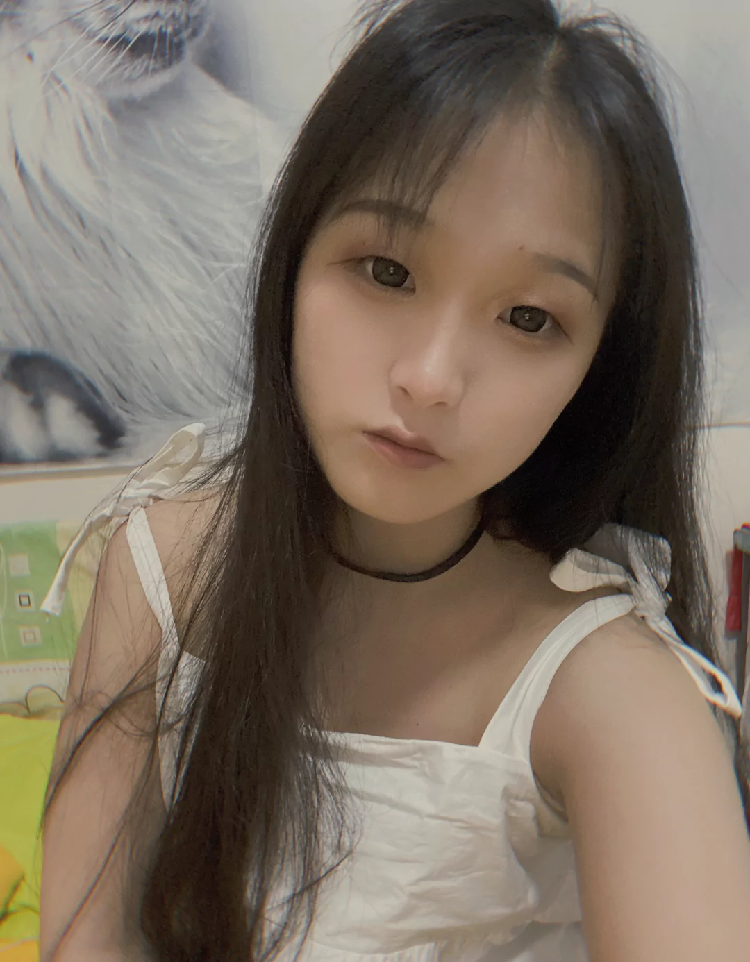 图片6