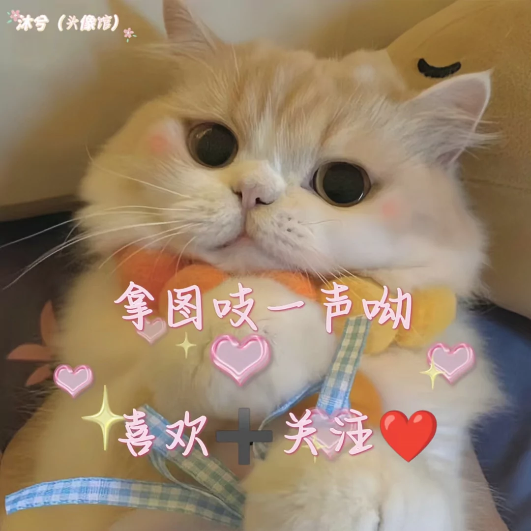 图片30