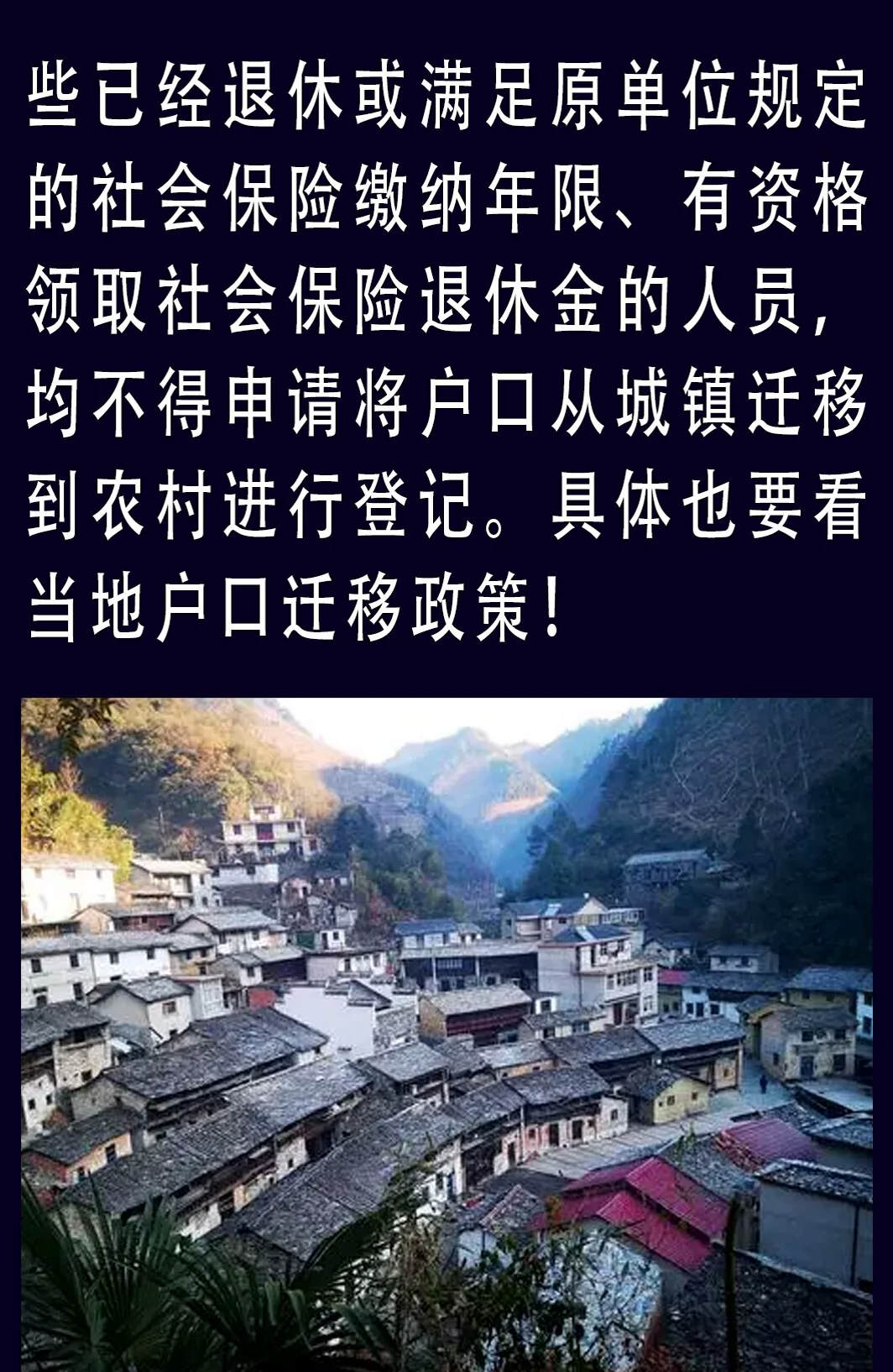 图片6
