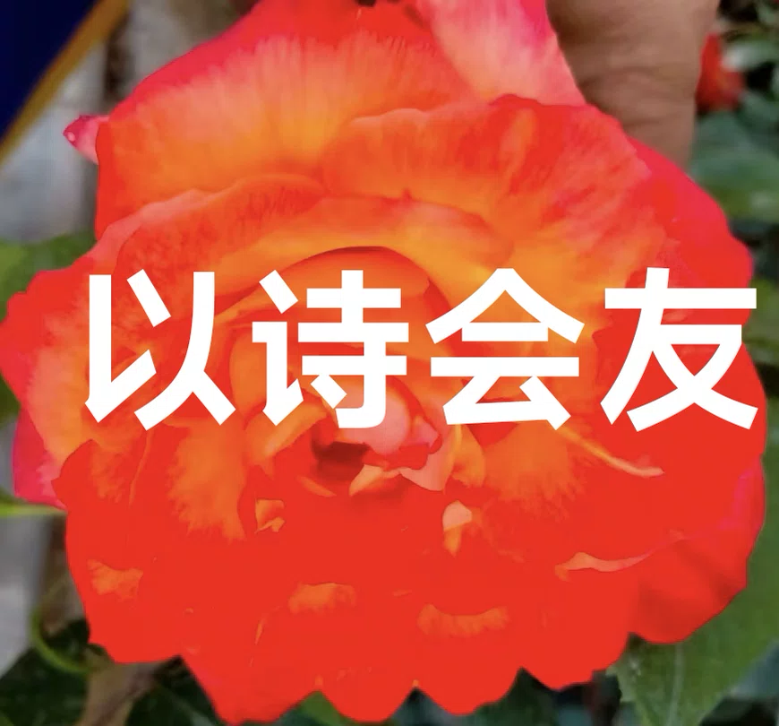 图片4