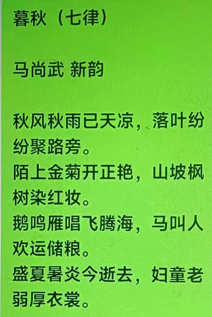 图片12