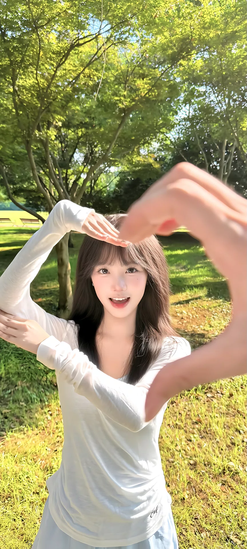 图片5