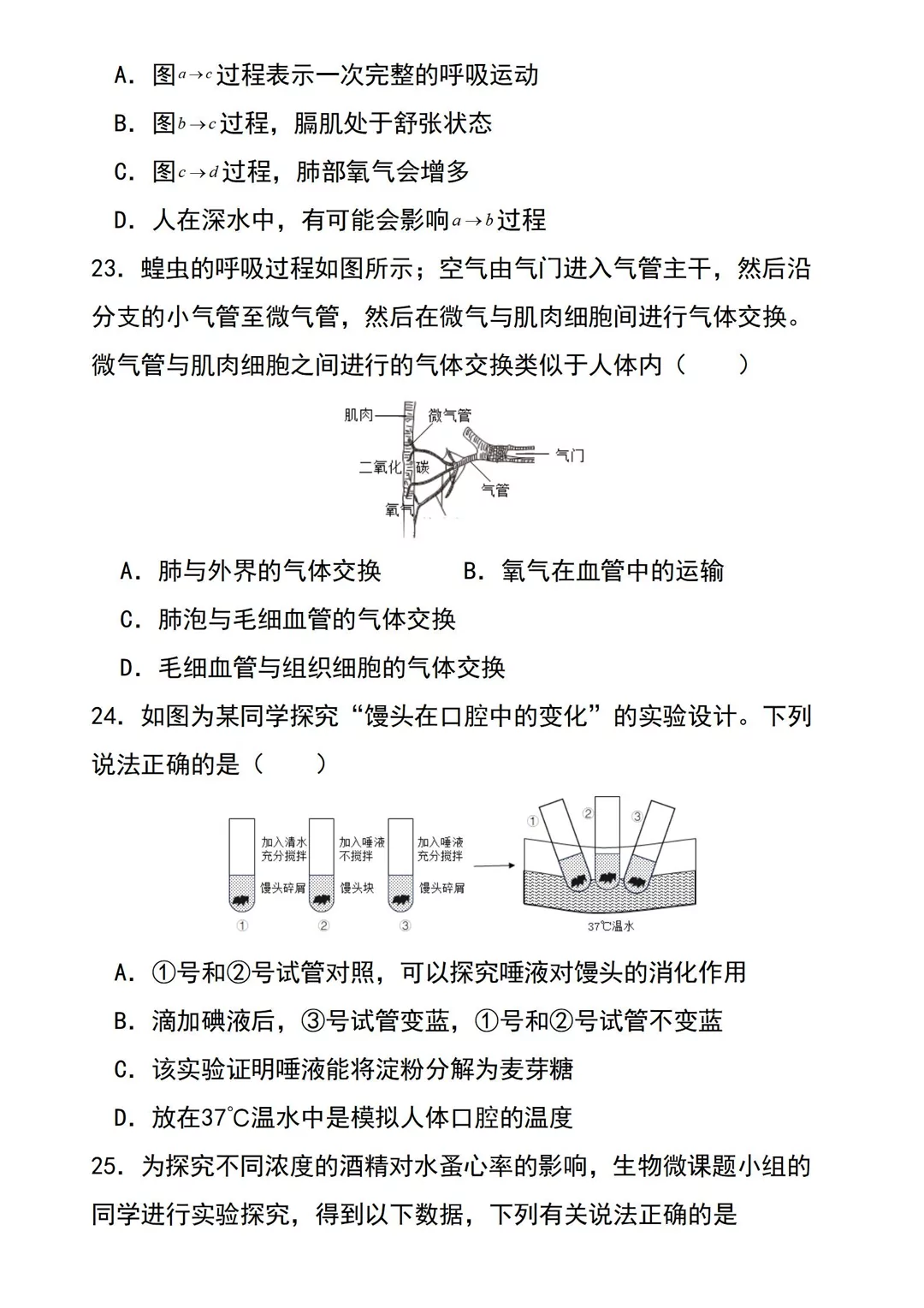 图片6