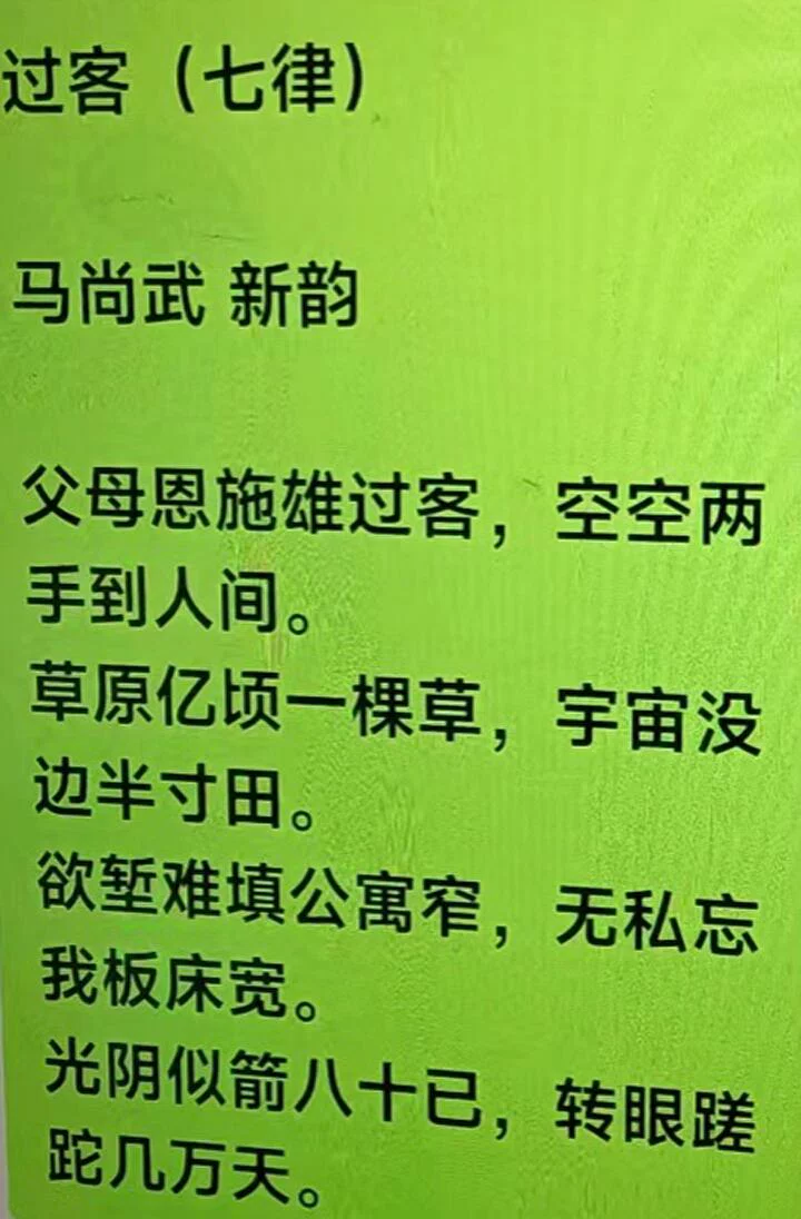 图片15