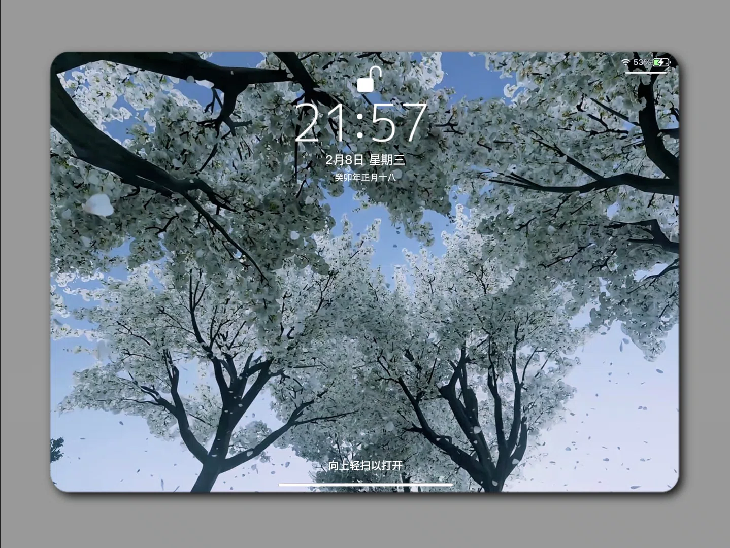 图片27